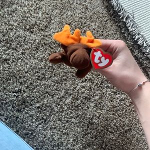 beanie babie moose good deal